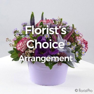 Florist Choice Arrangement