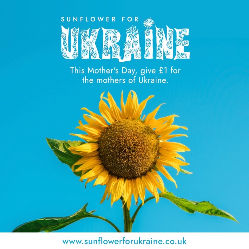 * Sunflower For Ukraine *